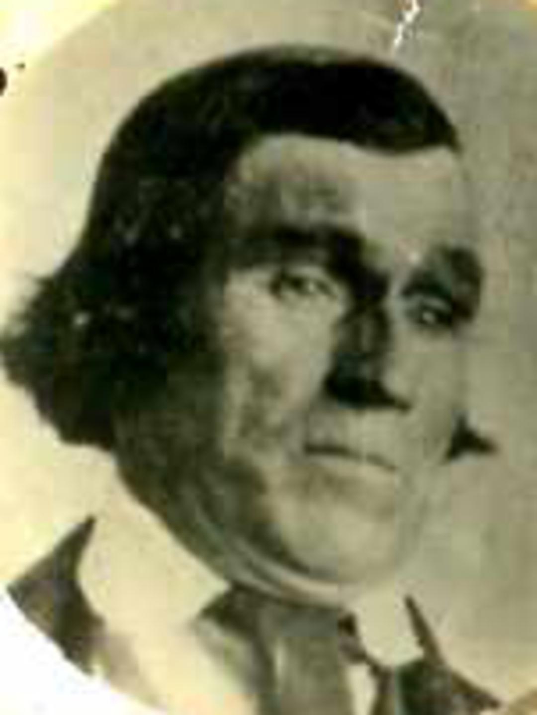 David Crockett (1806 - 1876) Profile